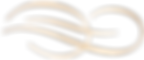 madisonbrothers.png